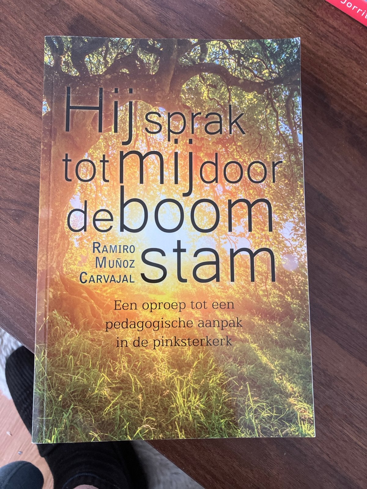 Hij sprak tot mij door de boomstam - Ramiro Muñoz Carvajal, Ophalen of Verzenden, Gelezen, Christendom | Protestants
