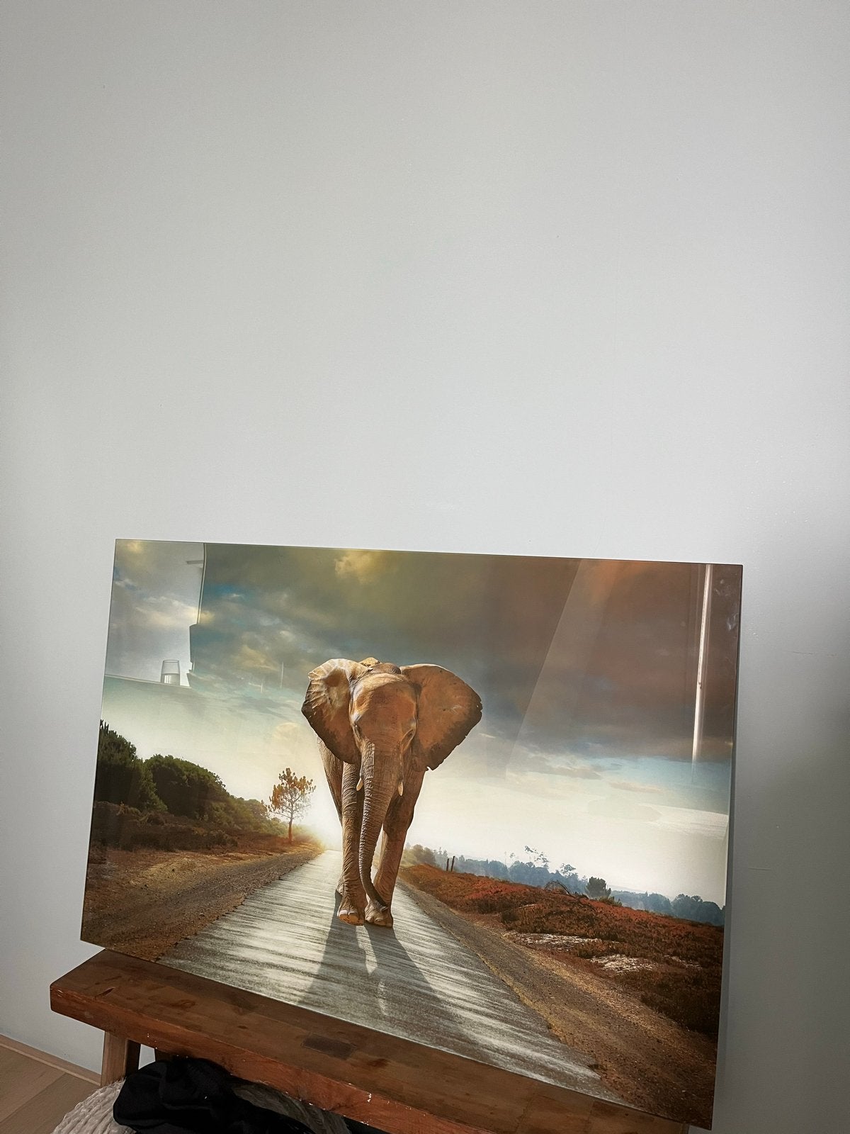 Glazen schilderij olifant 120x80 cm, Ophalen, Zo goed als nieuw, Schilderij, 100 tot 125 cm