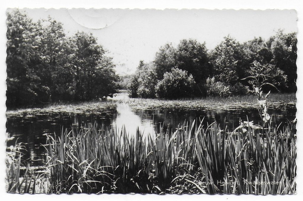 Helvoirt Kwakjeswater gelopen Ansichtkaart ( B6702 ), Ophalen of Verzenden, 1960 tot 1980, Gelopen