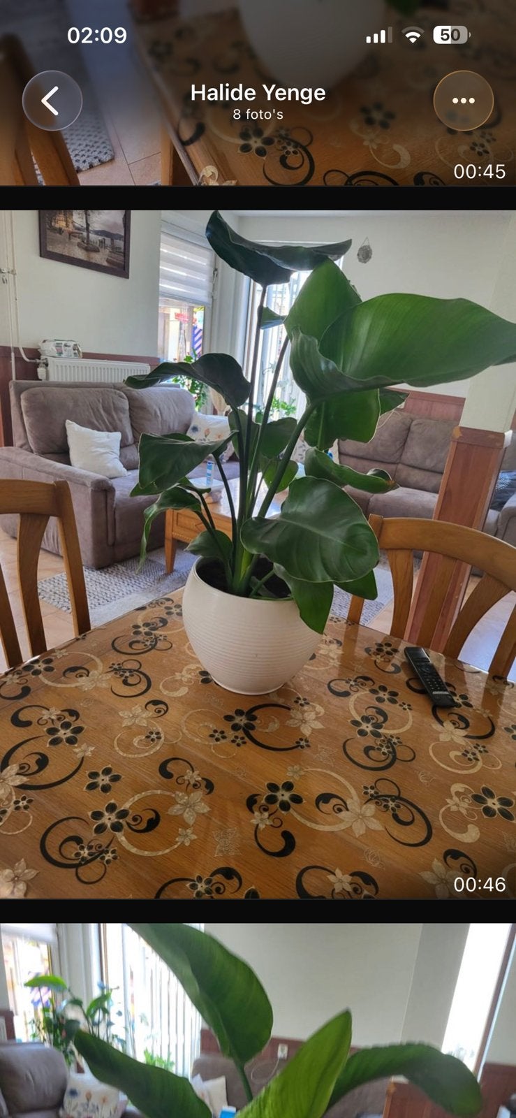 Kamer palanten met potjes, Ophalen, Zo goed als nieuw, Rond, 50 tot 100 cm