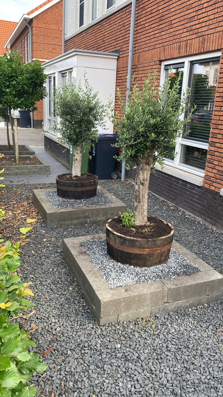 Plantenbakken, oude whiskyvaten, eikenhout, Ophalen, Hout
