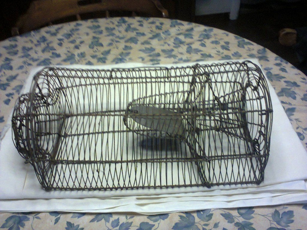 Antieke Franse rattenval lengte 47 cm, Antiek en Kunst, Verzenden
