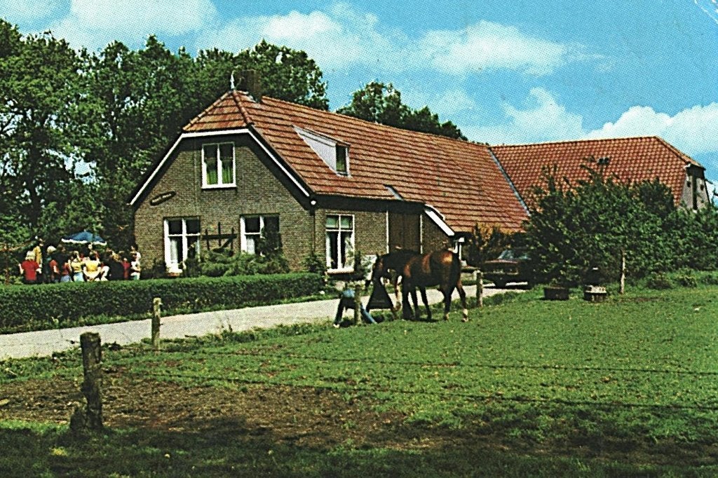 42468	Zorgvlied	Daf Drenthe	Postzegel afgeweekt, Ophalen of Verzenden, 1960 tot 1980, Gelopen, Drenthe