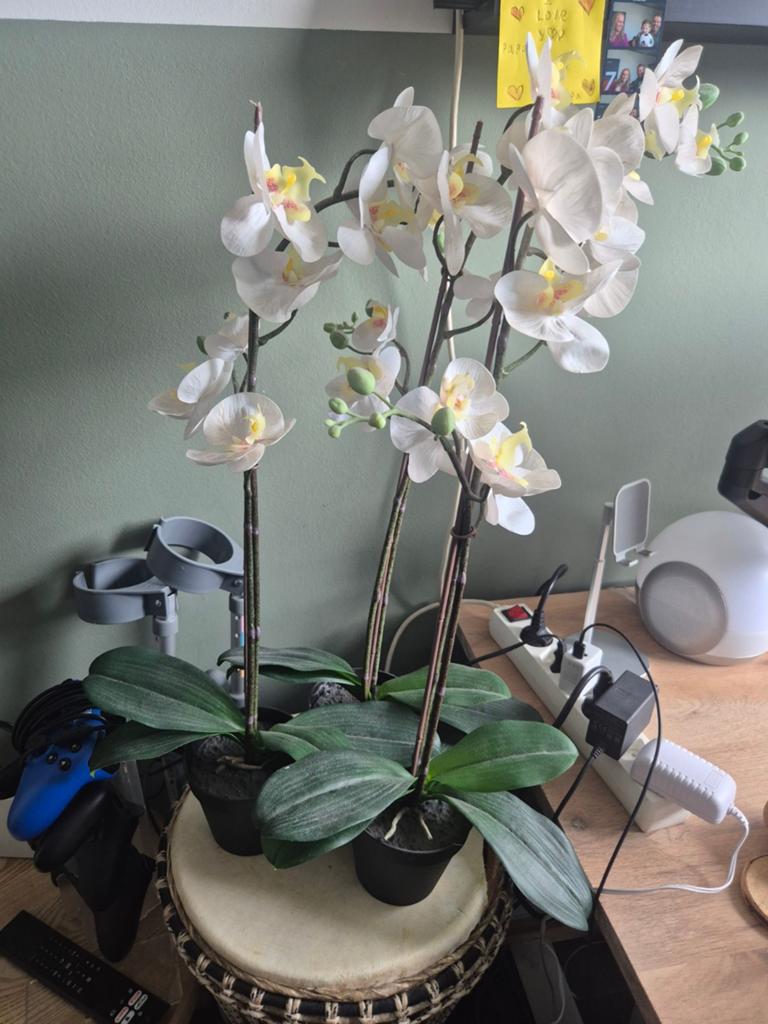 3 orchidee kunstplanten, Ophalen of Verzenden
