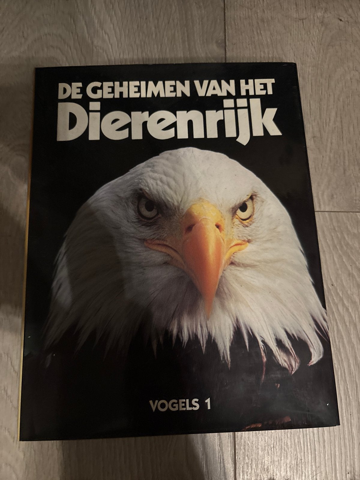 De Geheimen van het Dierenrijk: Vogels 1 - Amerikaanse zeear, Boeken, Ophalen of Verzenden, Gelezen, Vogels