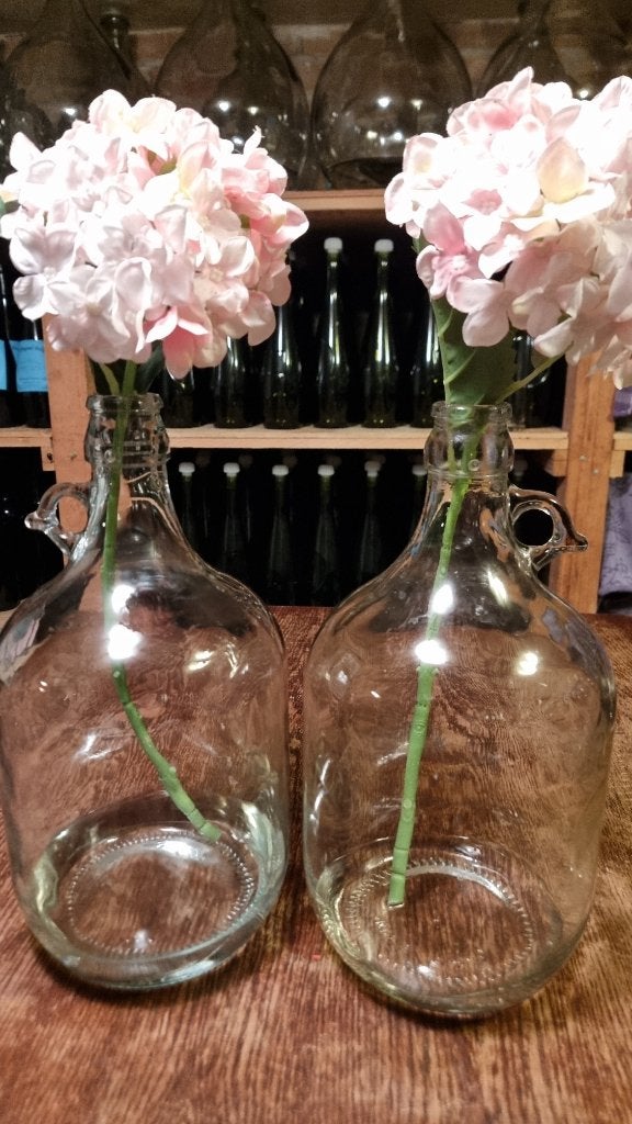 Wijn gist fles 5 liter 2 stuks, Ophalen