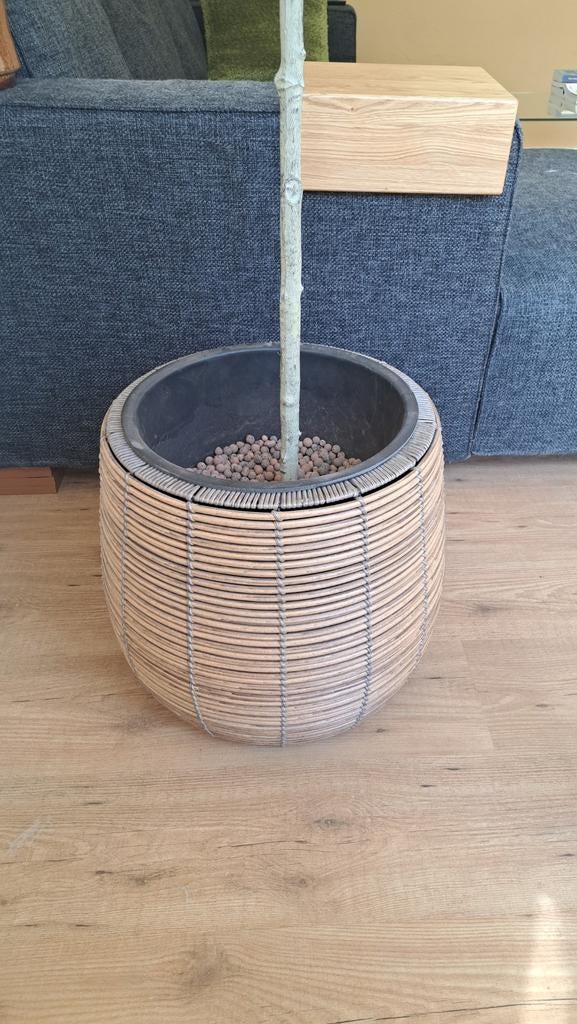 Grote bloempot intratuin, Ophalen, Rond, Kunststof