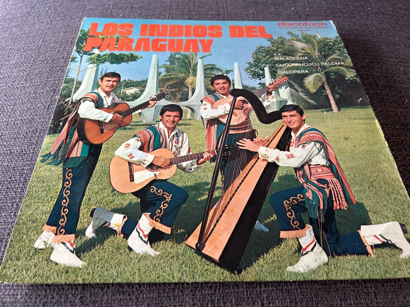Los Indios del Paraguay, Ophalen of Verzenden, Gebruikt, 12 inch, Latijns-Amerikaans