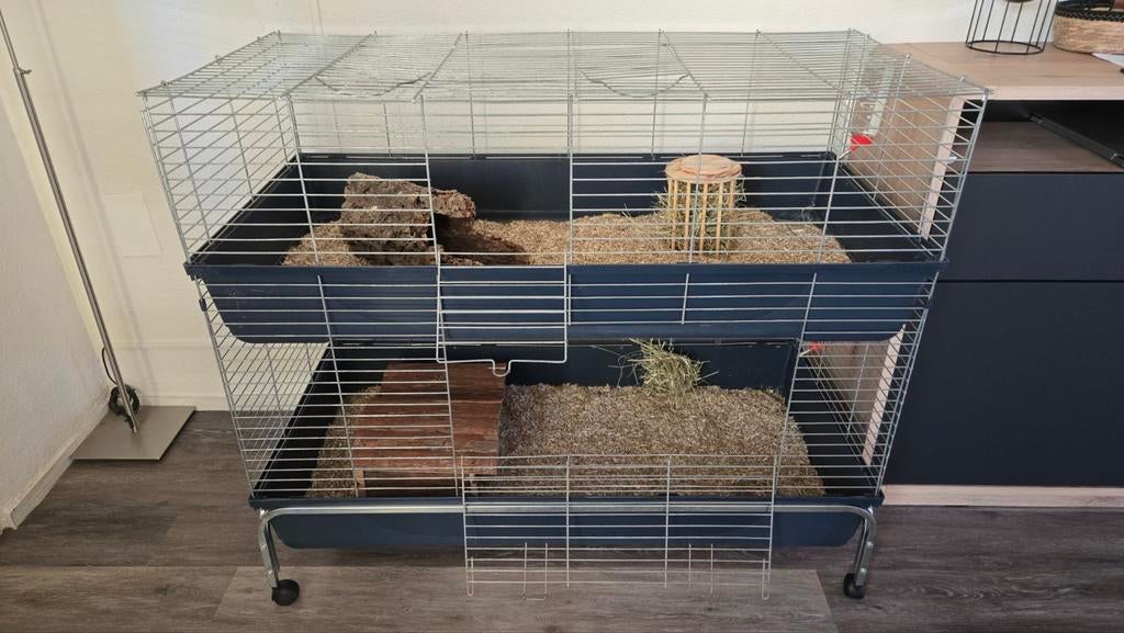 Cavia/konijnenhok, Ophalen, Hok, Cavia, Minder dan 60 cm