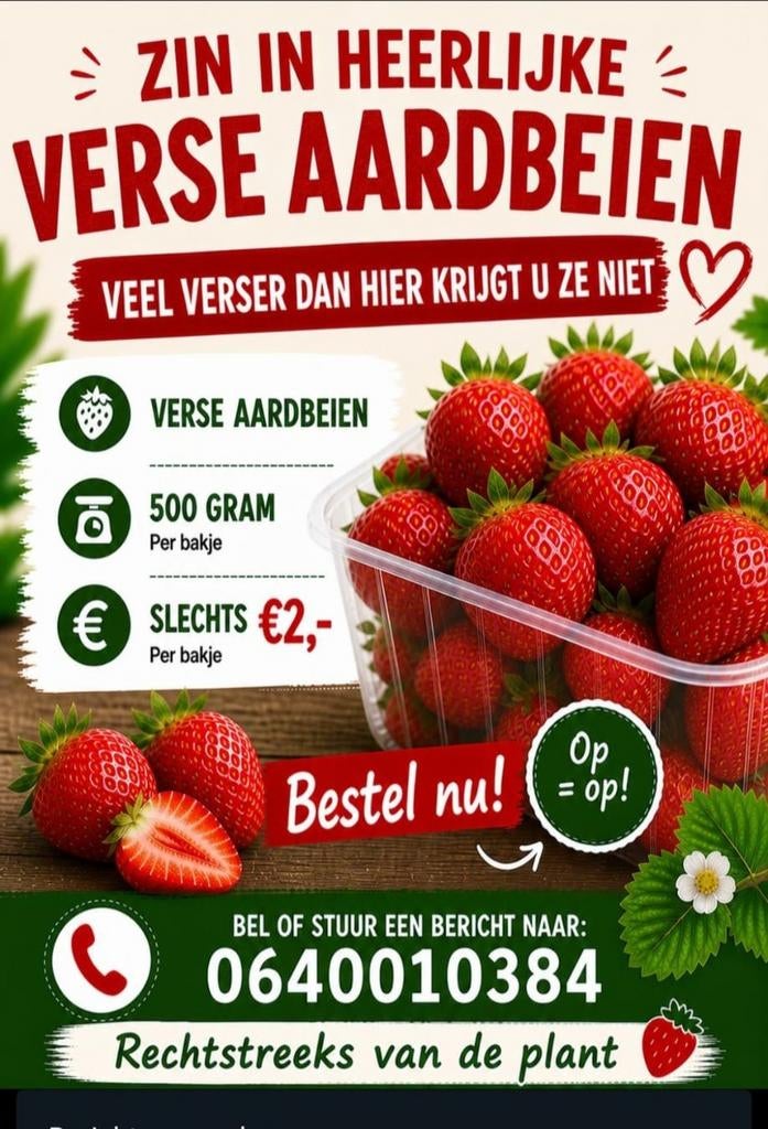 Heerlijke verse aardbeien - 500 gram per bakje, Ophalen of Verzenden