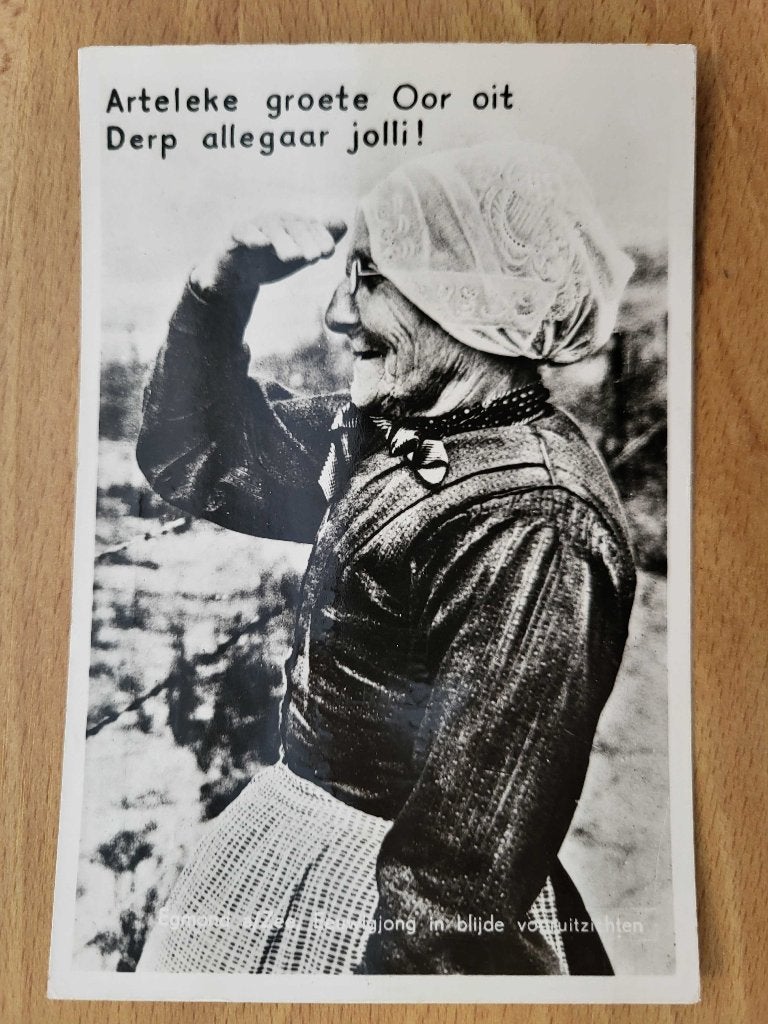 ansicht EGMOND Humor Arteleke, Ophalen of Verzenden, Voor 1920, Noord-Holland