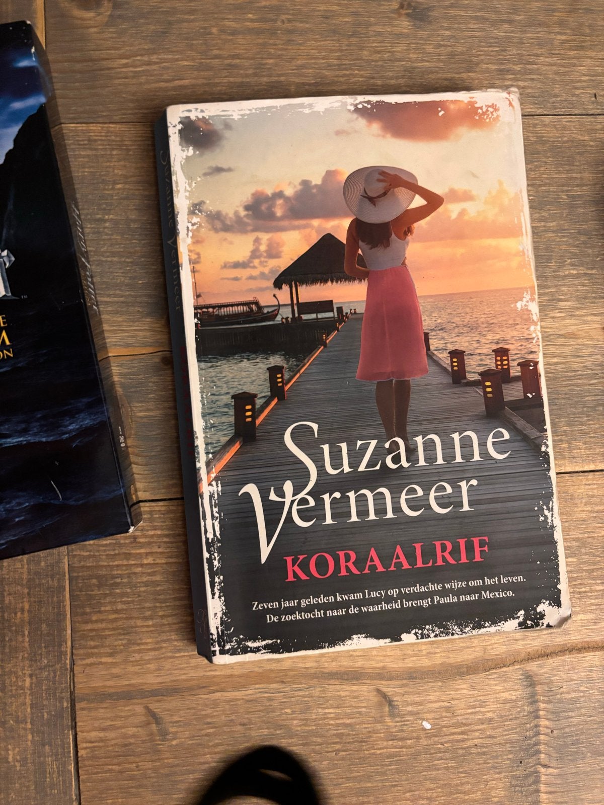 Suzanne Vermeer - Koraalrif, Ophalen, Gelezen, Nederland