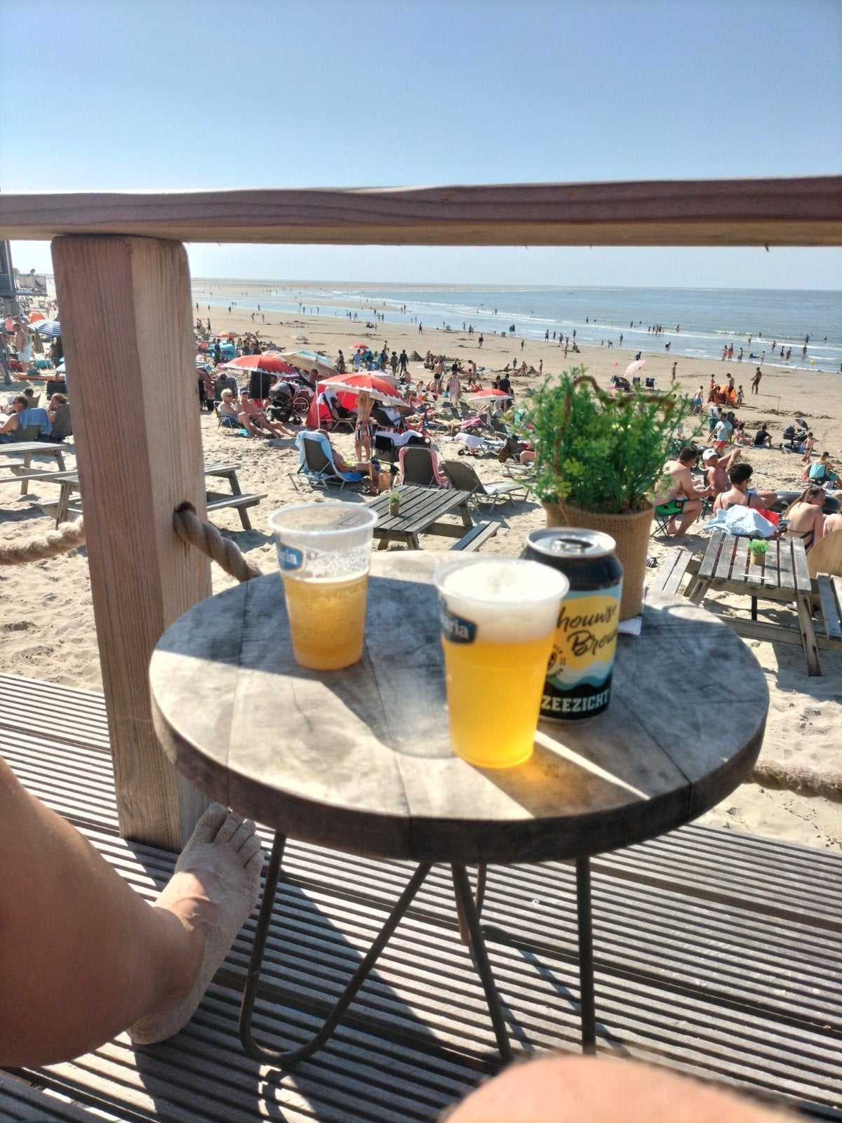 GEZOCHT Chalet Julianahoeve renesse