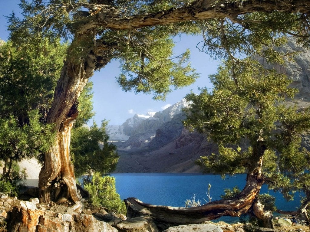 Bos vlies fotobehang Bergmeer, 3D behang | Muurdeco4kids, Verzenden
