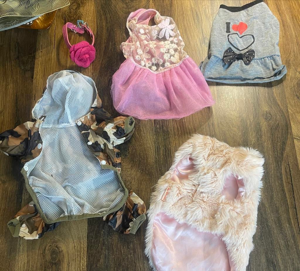 Kleding voor katten en honden, Ophalen