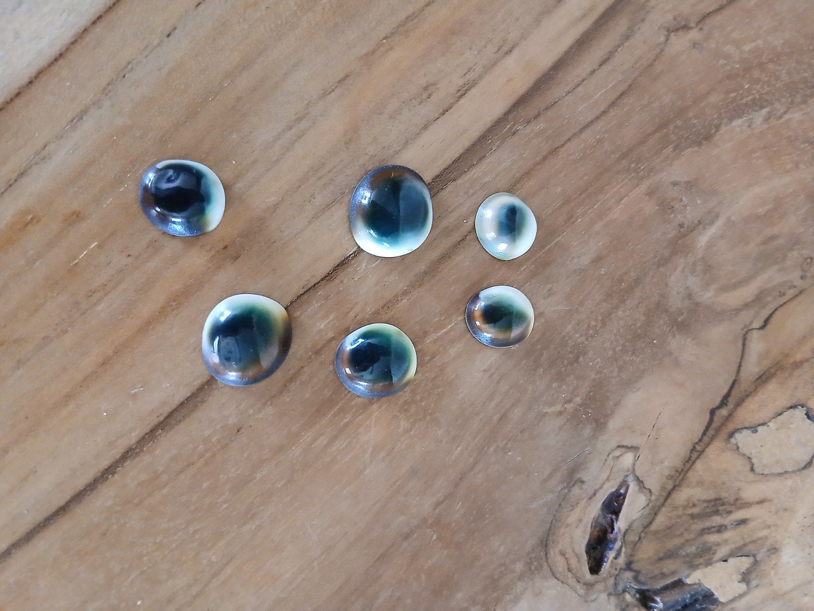 Natuurlijke Shiva Oog Schelpen - Set van 6, Ophalen of Verzenden, Zo goed als nieuw