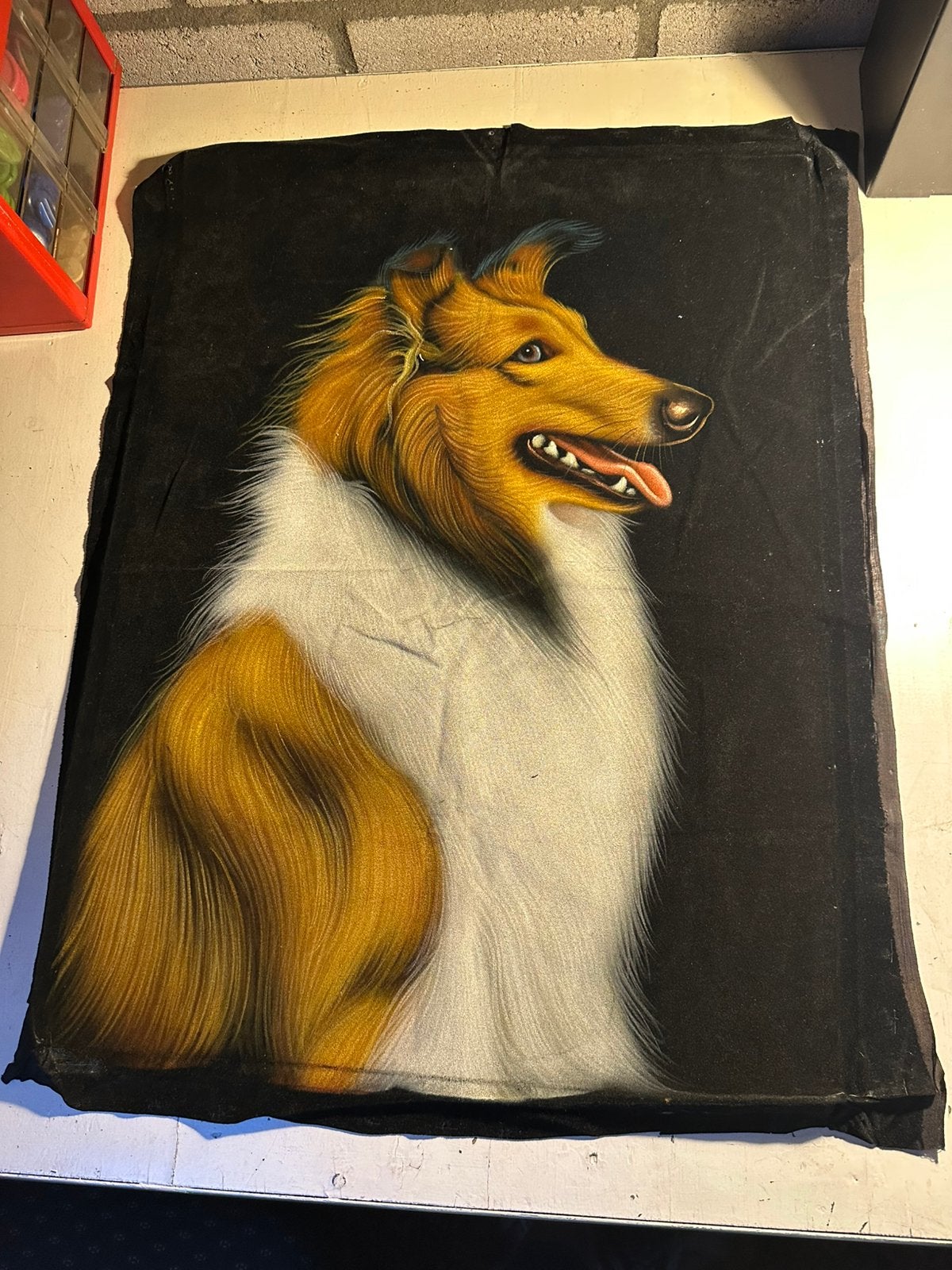 Schotse collie kleed zie omschrijving, Ophalen of Verzenden