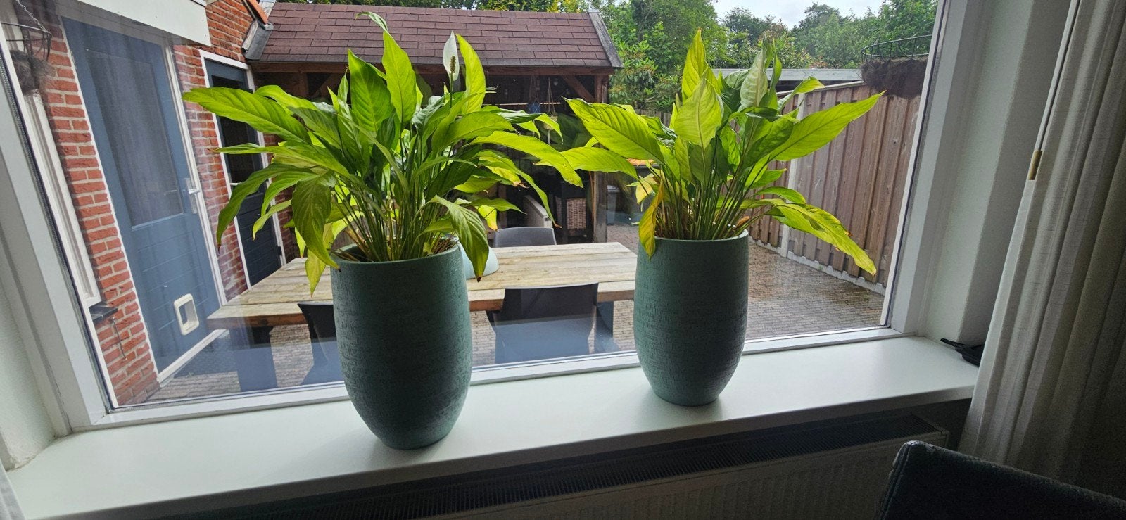 Vazen 2 stuks., Ophalen, Halfschaduw, Minder dan 100 cm