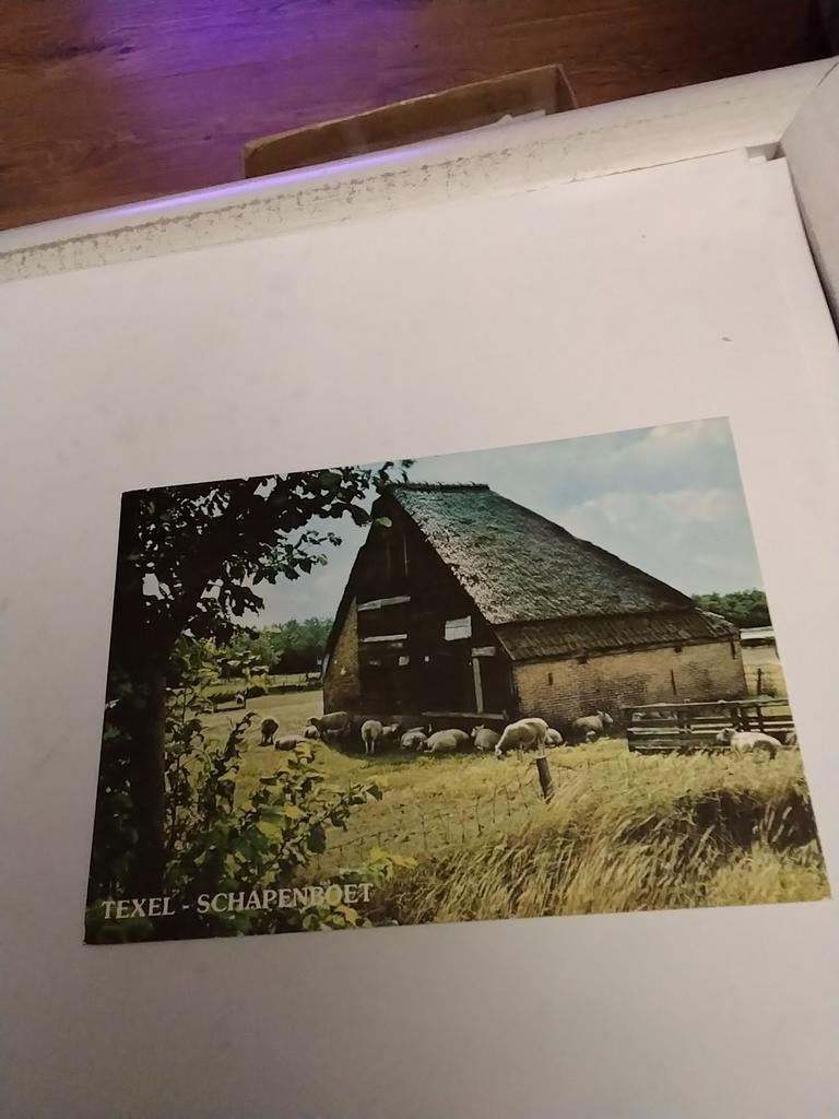 TEXEL. SCHAPENBOET. 1980, Ophalen of Verzenden, Waddeneilanden