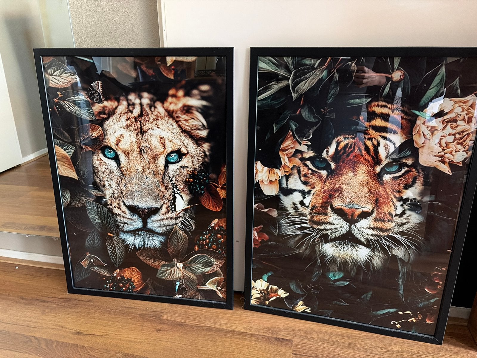 Set van 2 ingelijste posters: Leeuw en Tijger, Ophalen, Gebruikt, Foto of Poster, 75 – 100
