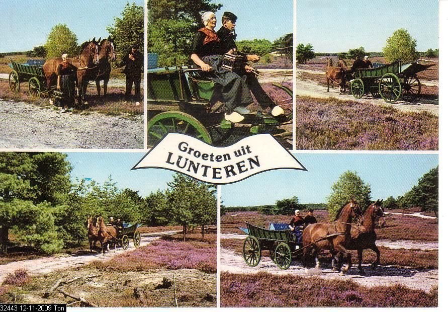 Ansichtkaart 	Lunteren	Paarden	5-luik, Verzenden, 1960 tot 1980, Gelopen, Gelderland