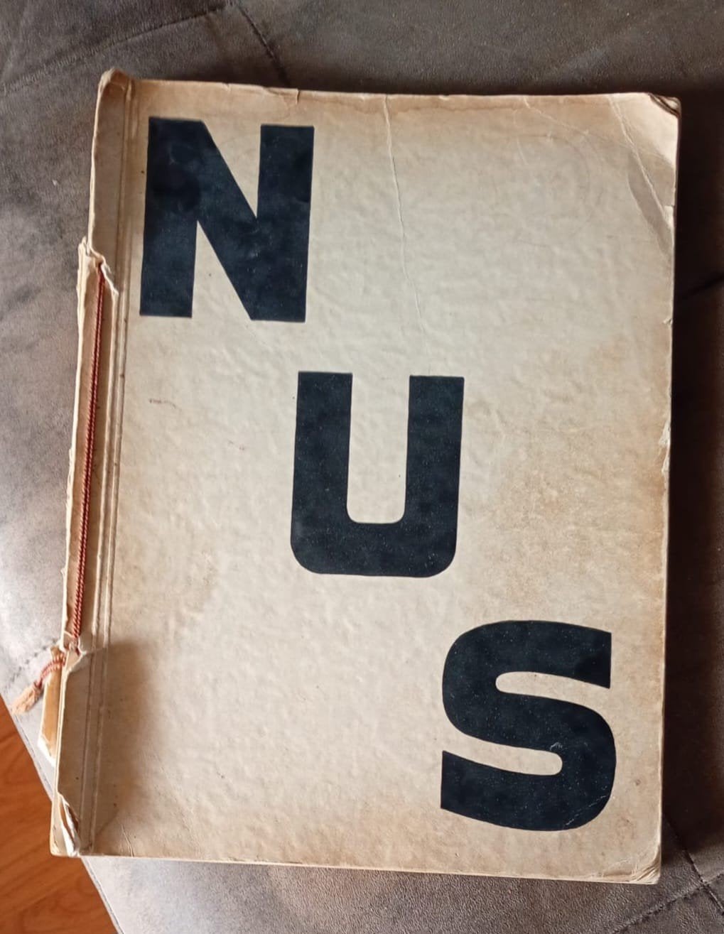 Nus: La Beauté de la Femme (1933) - Legendarisch Fotoboek, Ophalen, Gelezen