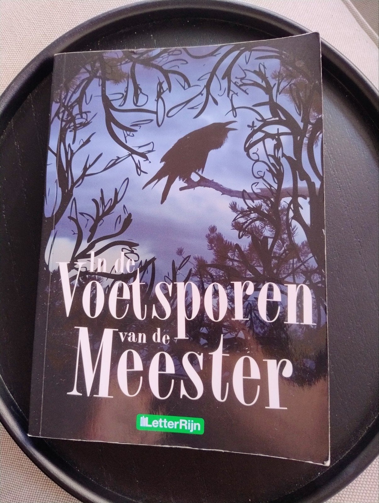 In de voetsporen van de meester, Ophalen of Verzenden, Zo goed als nieuw