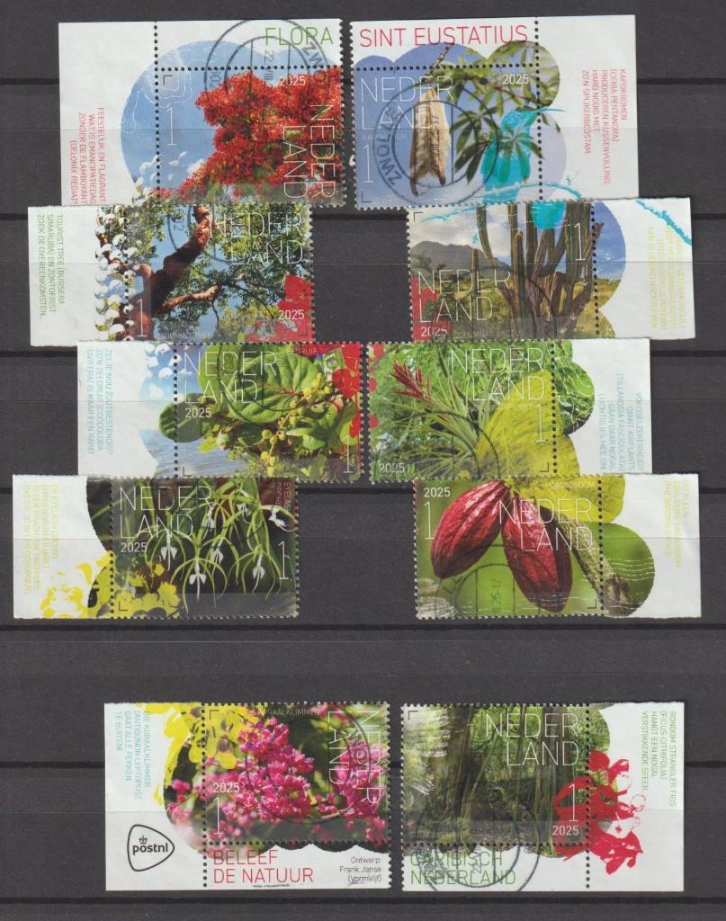Modern 2025 gestempeld Natuur bloemen cpl set met tab, Postzegels en Munten, Postzegels | Nederland, Verzenden, Na 1940, Gestempeld