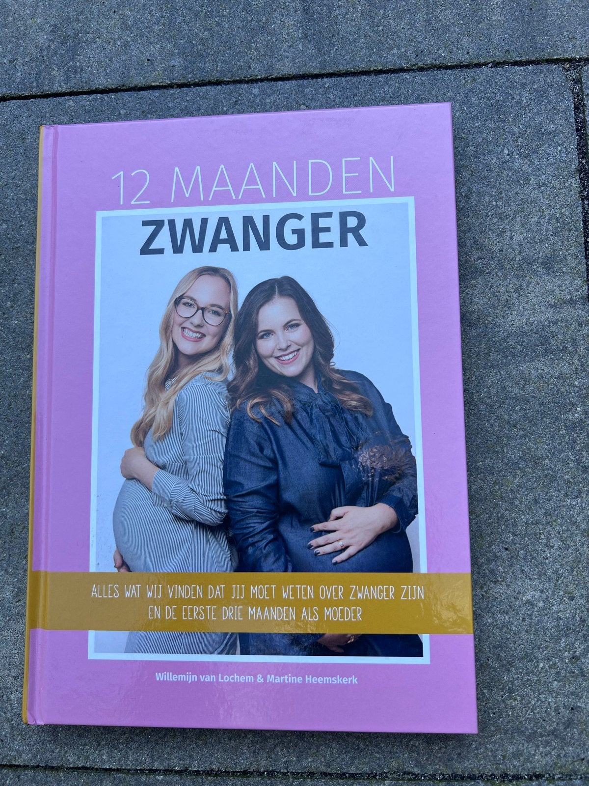 12 Maanden Zwanger - Zo goed als nieuw, Boeken, Zwangerschap en Opvoeding, Ophalen of Verzenden, Zo goed als nieuw, Zwangerschap en Bevalling