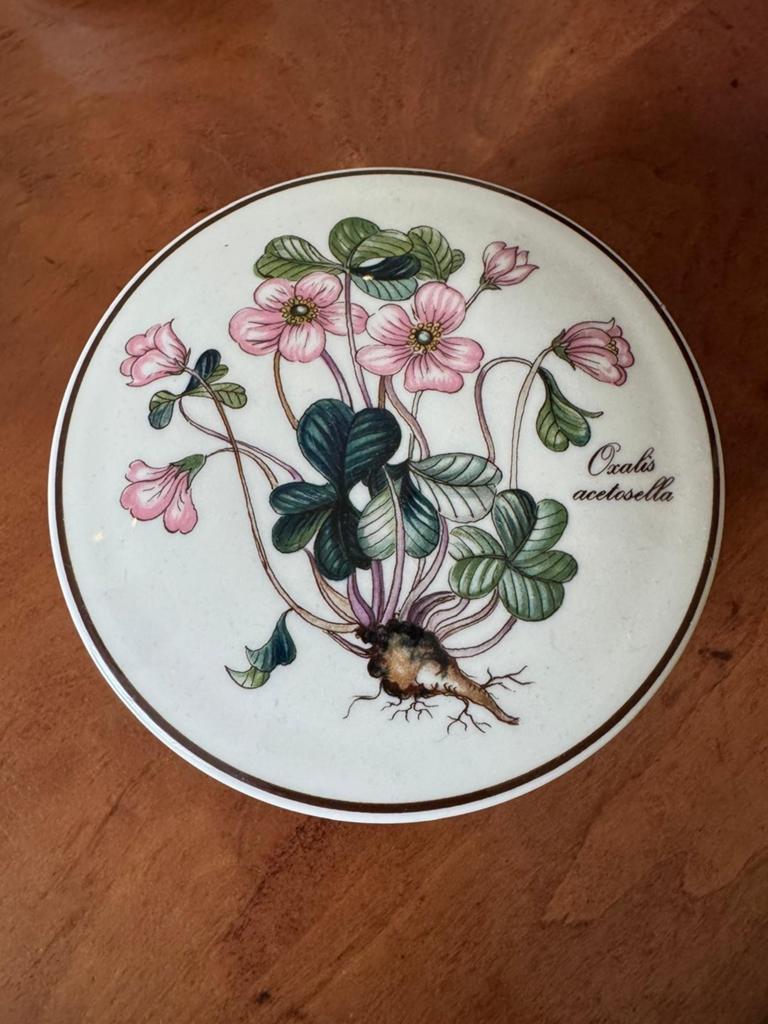 Villeroy & Boch Botanica, Huis en Inrichting, Keuken | Servies, Ophalen of Verzenden, Zo goed als nieuw
