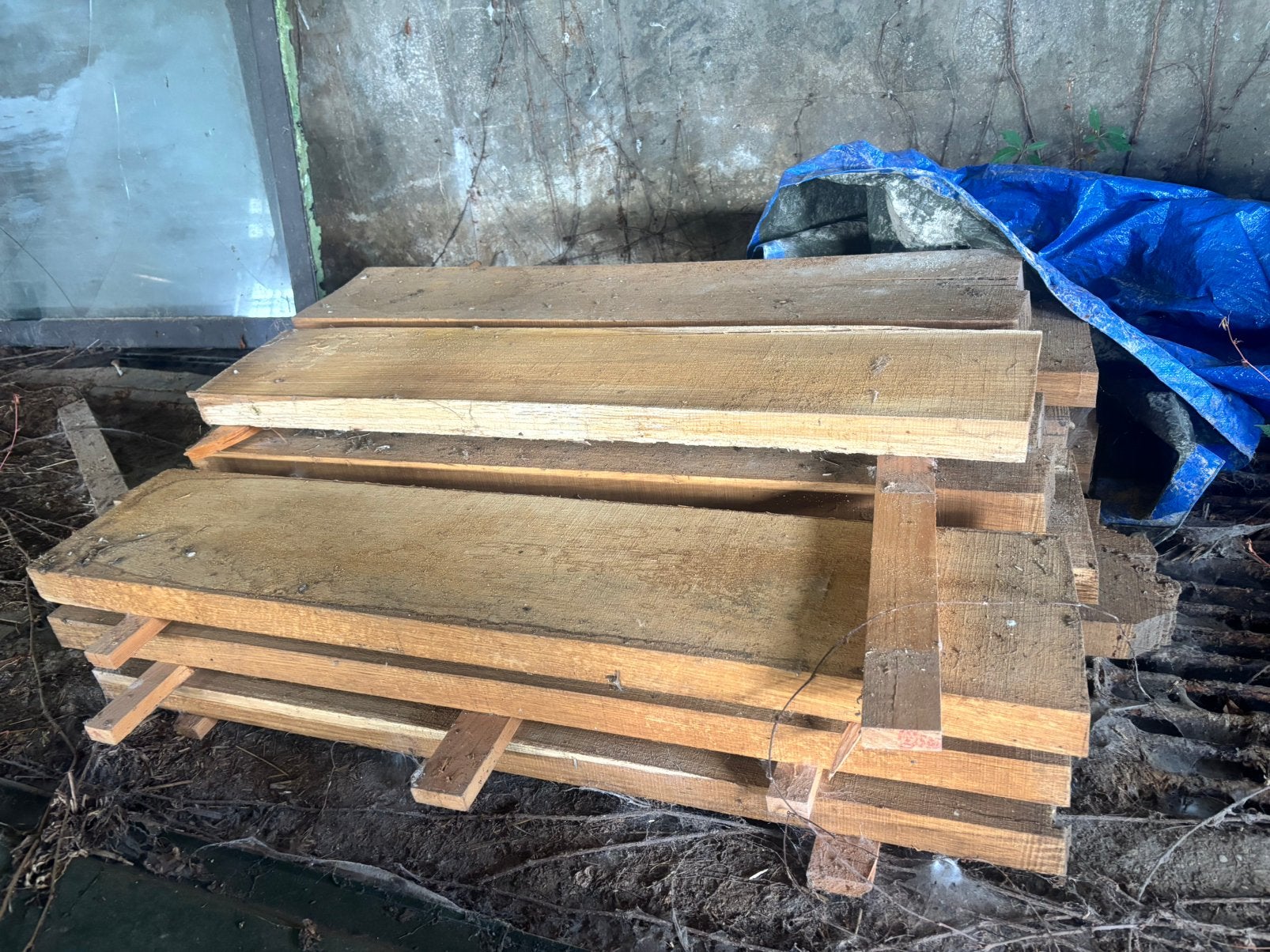 Eikenhouten tredes, Doe-het-zelf en Verbouw, Hout en Planken, 25 tot 50 mm, Eiken, Ophalen of Verzenden, Zo goed als nieuw