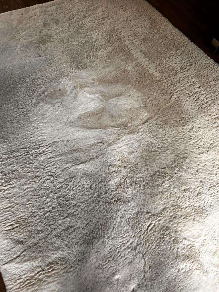Vloerkleed 290x200, Gebruikt, Wit, 200 cm of meer, Ophalen of Verzenden