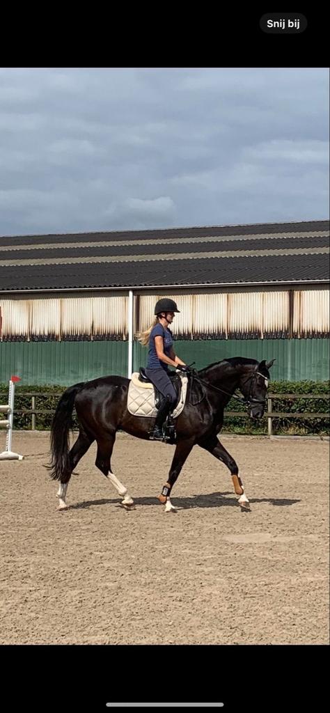 Paardrijles/verzorg pony/leas pony, Paardrijles of Ponykampen