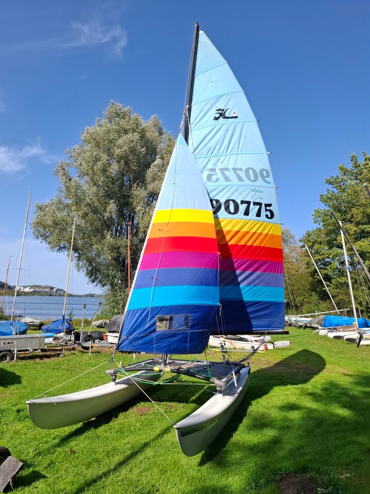 Hobie Cat 16 Blue Prism Zeil 1987, Ophalen, Hobie 16, Hobie