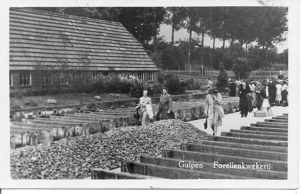 Gulpen Forellenkwekerij., Ophalen of Verzenden, 1940 tot 1960, Gelopen, Limburg