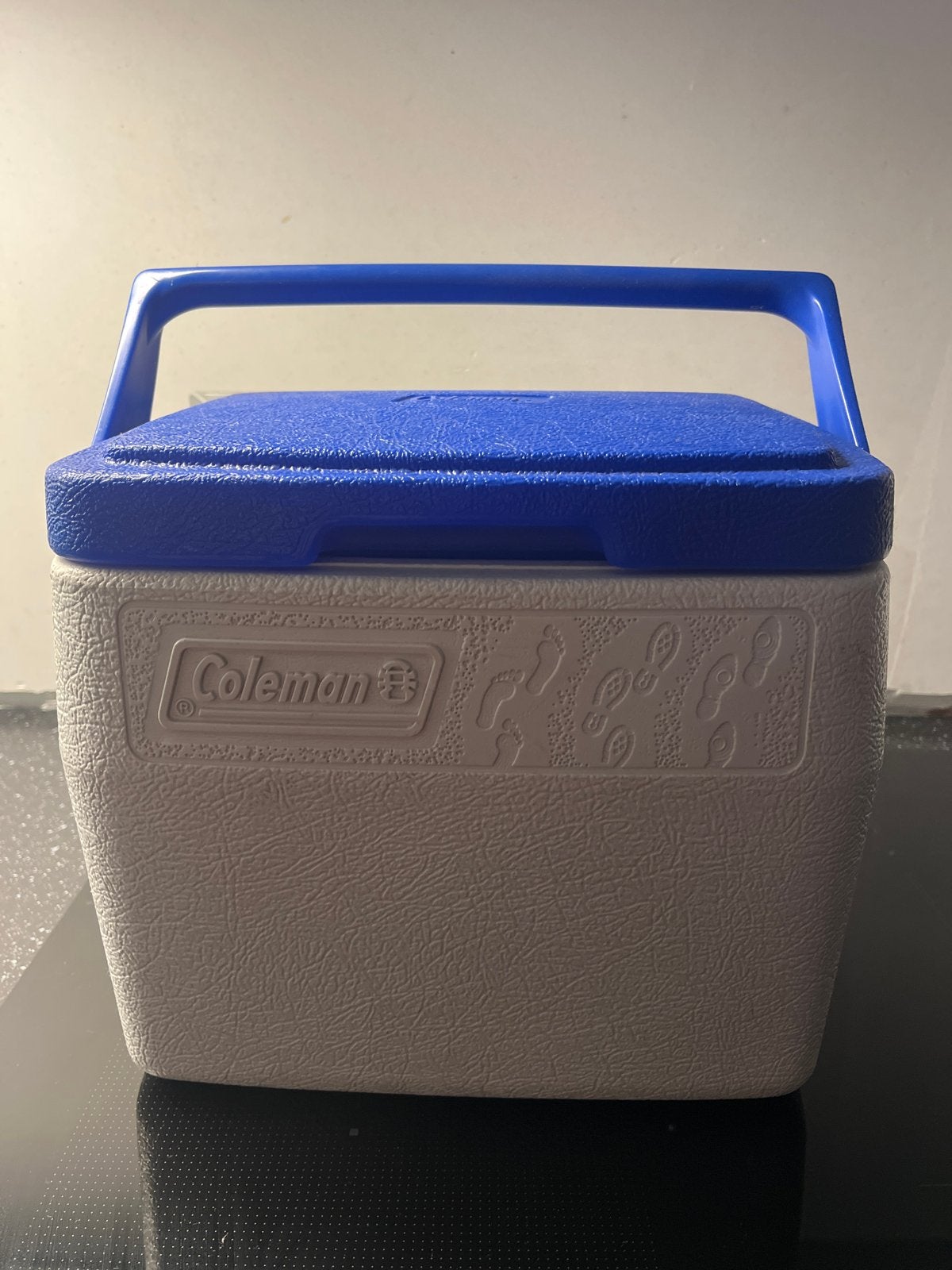 Coleman Koelbox - Compact en Handig, Ophalen, Gebruikt, Koelbox, Koelelement