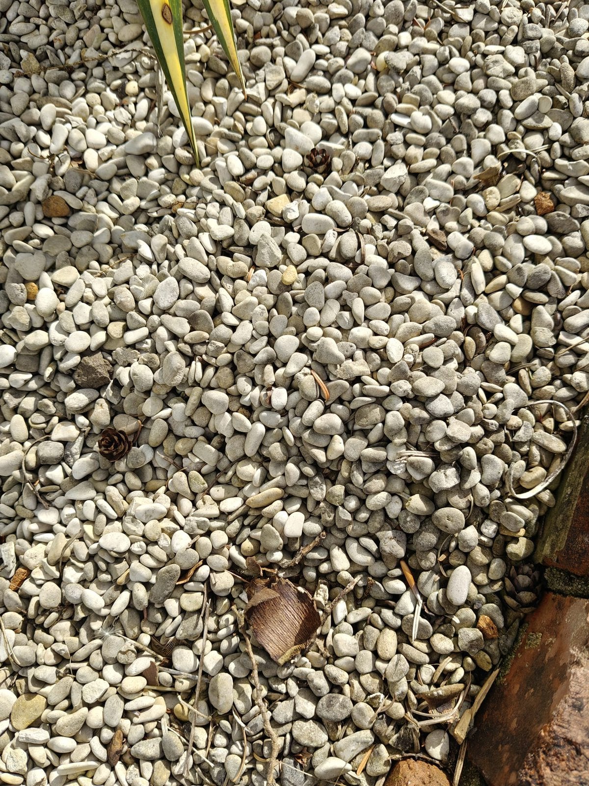 Fijn Grind -  gratis - zakjes 25 kg, Tuin en Terras, Grind, Keien en Split, Ophalen, Overige materialen, Gebruikt, Wit