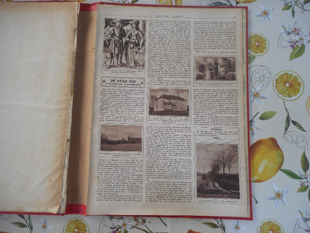 Oss. De stad. 1924., Ophalen of Verzenden, 1920 tot 1940, Nederland, Knipsel(s)