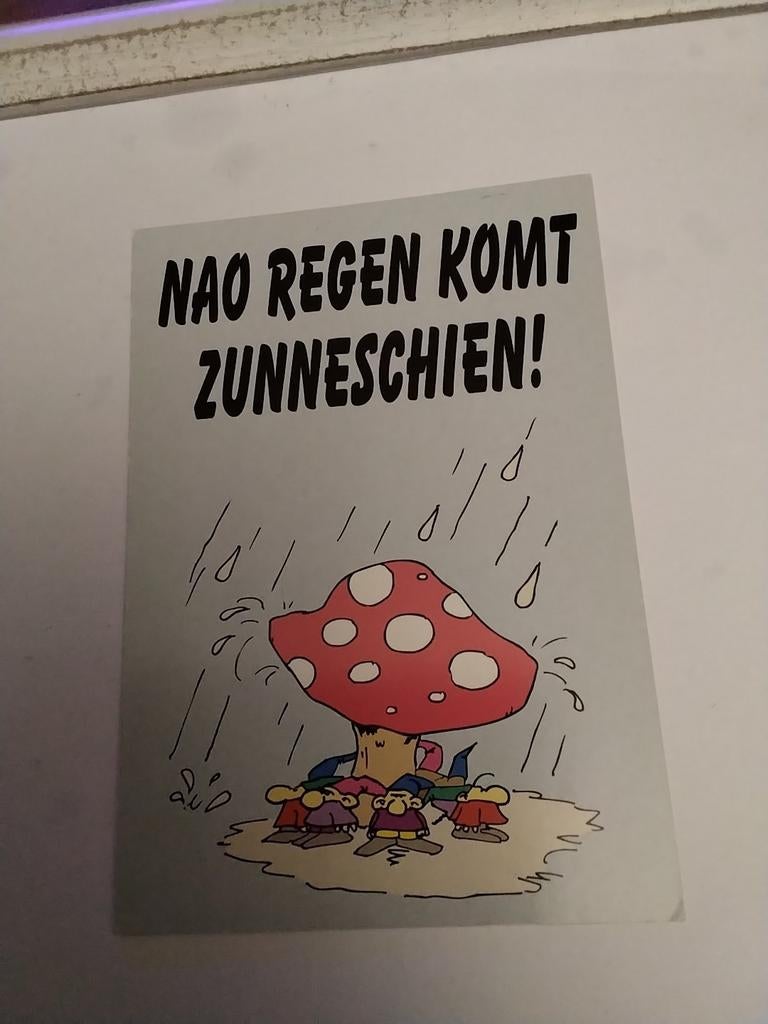 DANNY VALK /    NAI REGEN KOMT ZUNNESCHIEN, Ophalen of Verzenden, Sterren en Beroemdheden