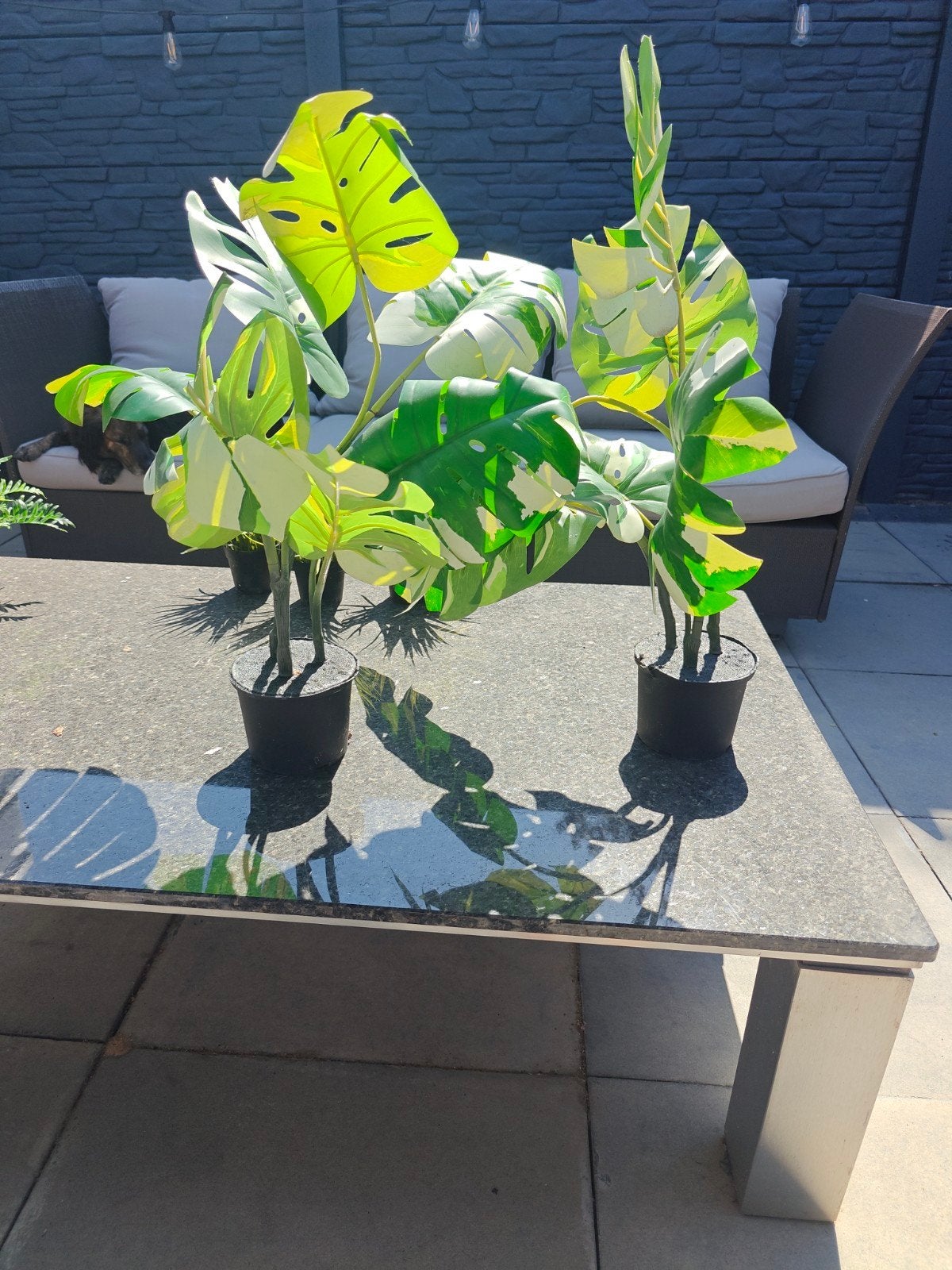 Twee IKEA kunstplanten, geschikt voor buiten, 10cm pot, Ophalen, Gebruikt, 10 cm, Kunstplant