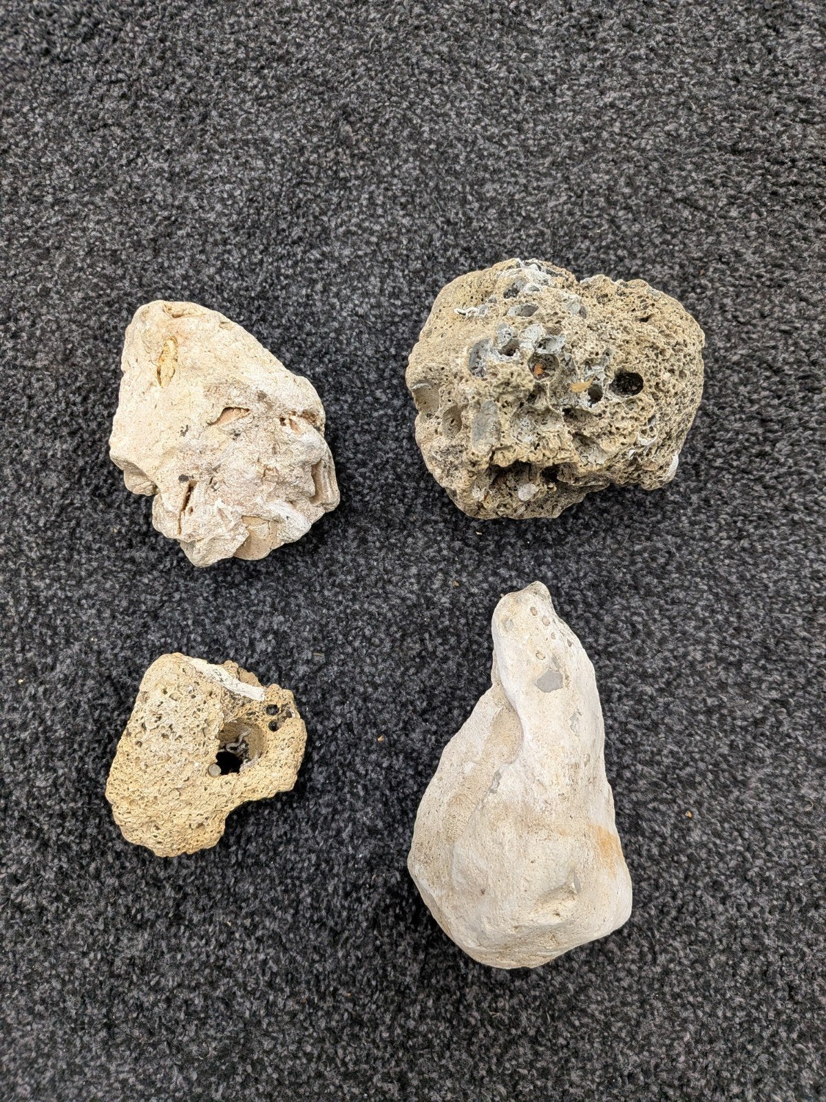 4 poreuze natuurstenen voor terrarium / paludarium 
44 poreu, Dieren en Toebehoren, Ophalen, Gebruikt, Tak, Plant, Rots of Steen