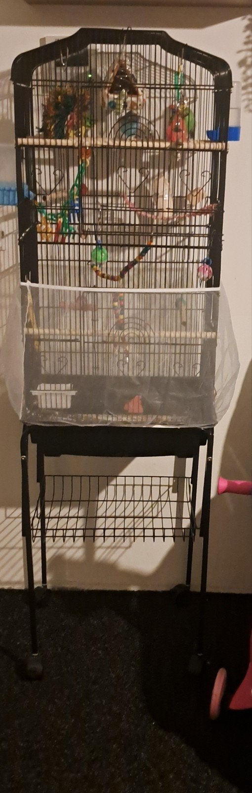 vogels met kooi, Ophalen, Zo goed als nieuw, Metaal, Vogelkooi