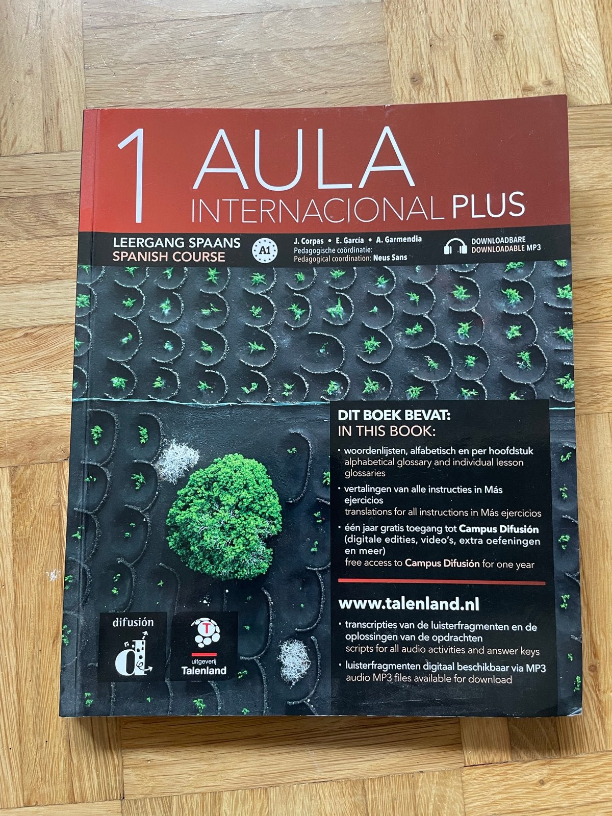 Aula Internacional Plus 1 - Spaans leerboek, Ophalen of Verzenden, Zo goed als nieuw, Non-fictie