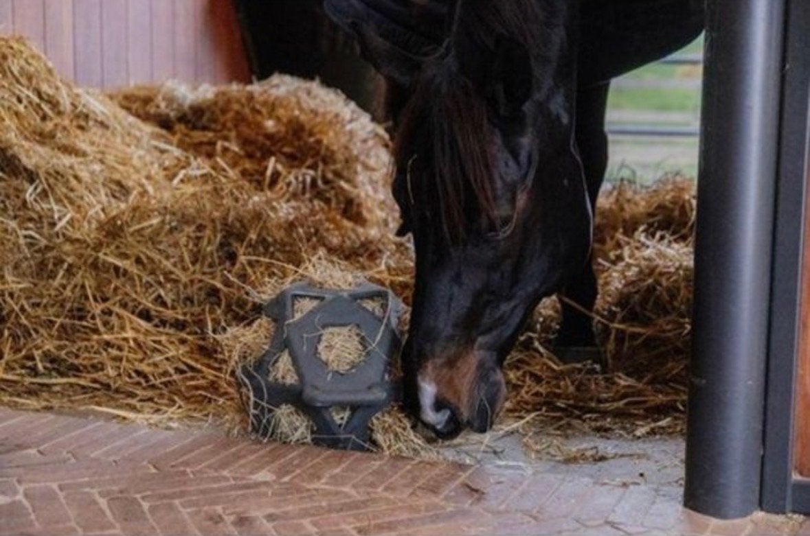 Kentucky speel / hooibal, Dieren en Toebehoren, Ophalen of Verzenden, Recreatie