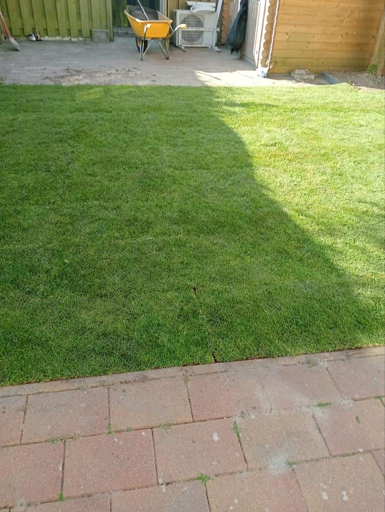 5 m2 Graszoden over in Tilburg afhalen, Ophalen of Verzenden