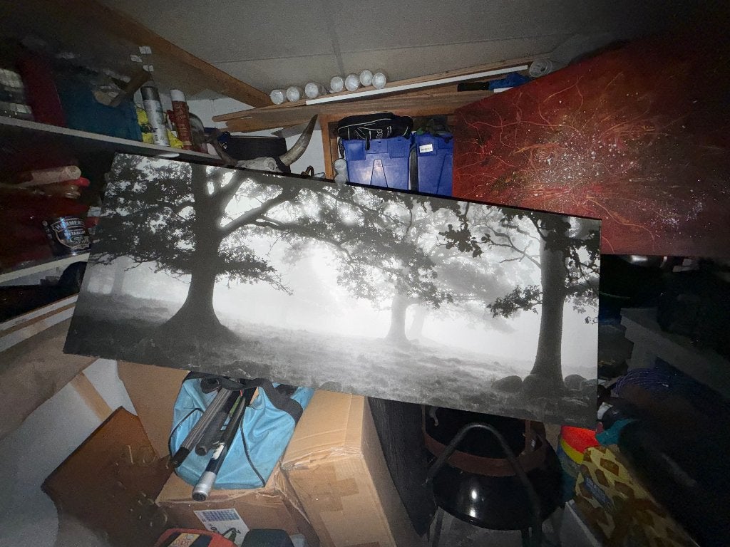 Foto bos op linnen., Ophalen, Zo goed als nieuw, Foto of Poster