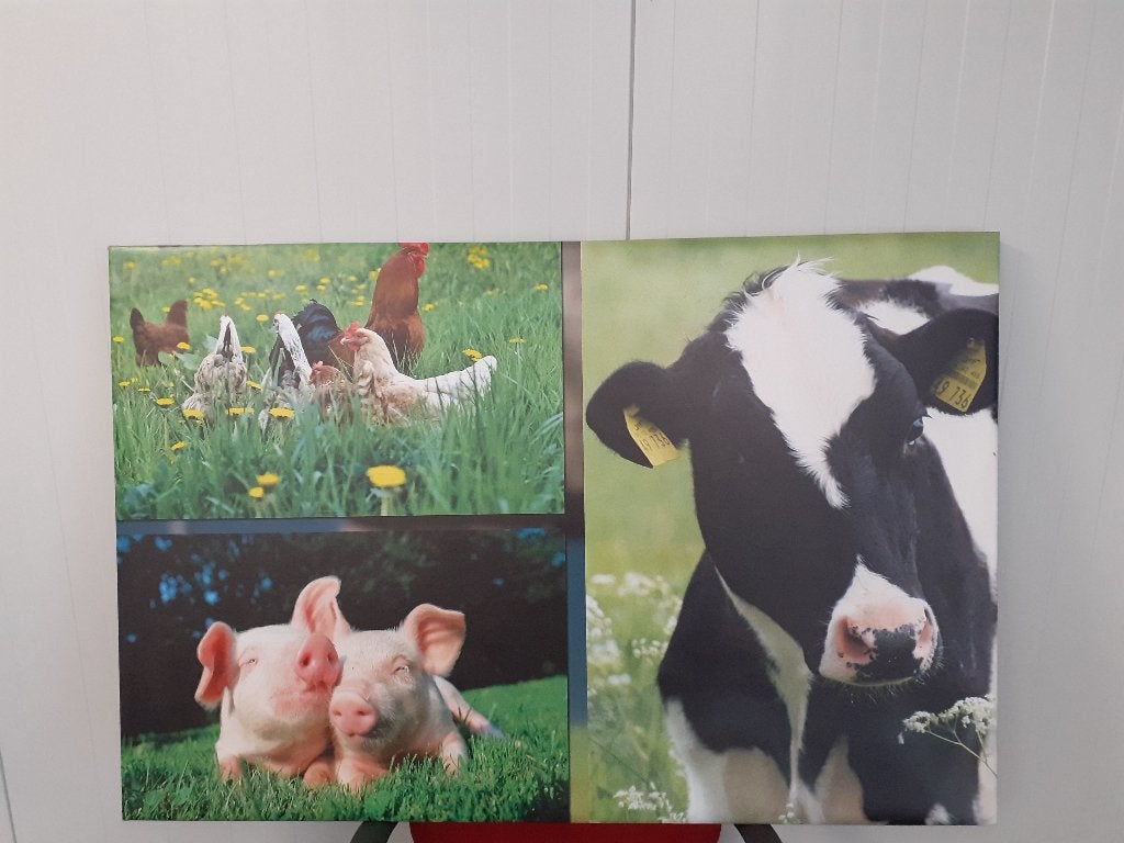 Grote canvas wanddecoratie boerderijdieren 118 x 79 cm, 79 cm, Hout, Decoratieobject, Ophalen of Verzenden