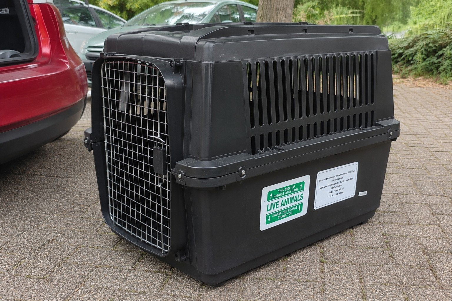 Large IATA Dog Travel Crate (122  70  89 cm) – Ideal for A, Dieren en Toebehoren, Ophalen