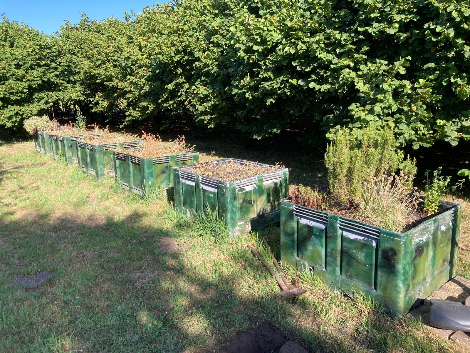 5 moestuinbakken/ plantenbakken, Ophalen, Gebruikt, Kweekbak