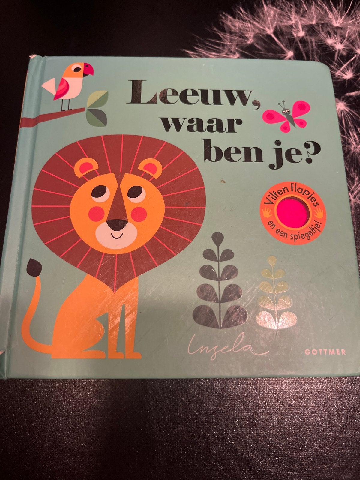 Leeuw, waar ben je? - Vilten flapjes en spiegeltje, Boeken, Kinderboeken | Baby's en Peuters, Ophalen of Verzenden, Zo goed als nieuw
